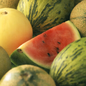 Parfum Melon pastèque